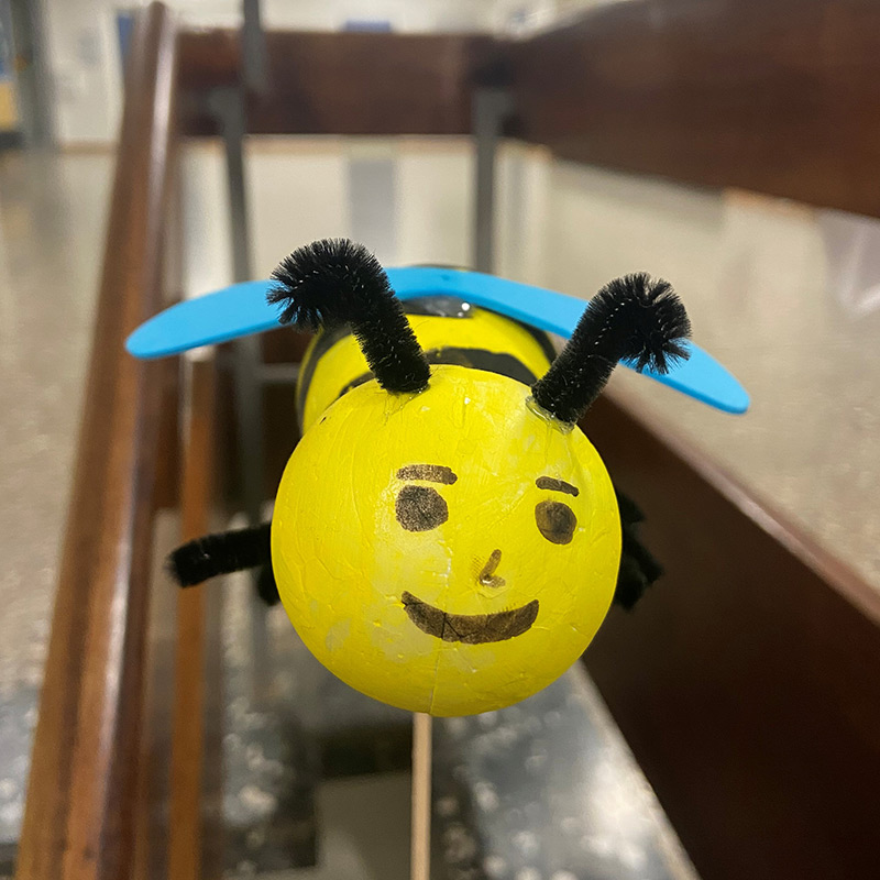 Alina Hummel Schulleitung